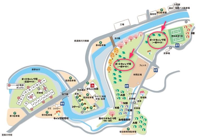 ならここキャンプ場一般サイト