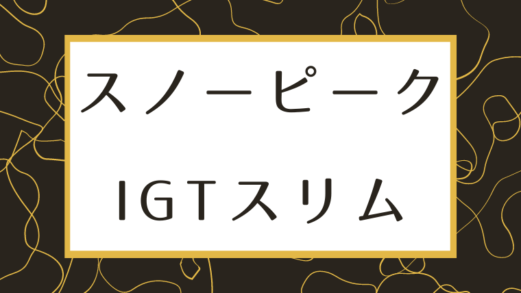 スノーピーク IGTスリム